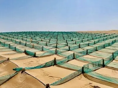 تثبیت ماسه‌های روان با استفاده از ۱۱ روش خارجی و بومی 