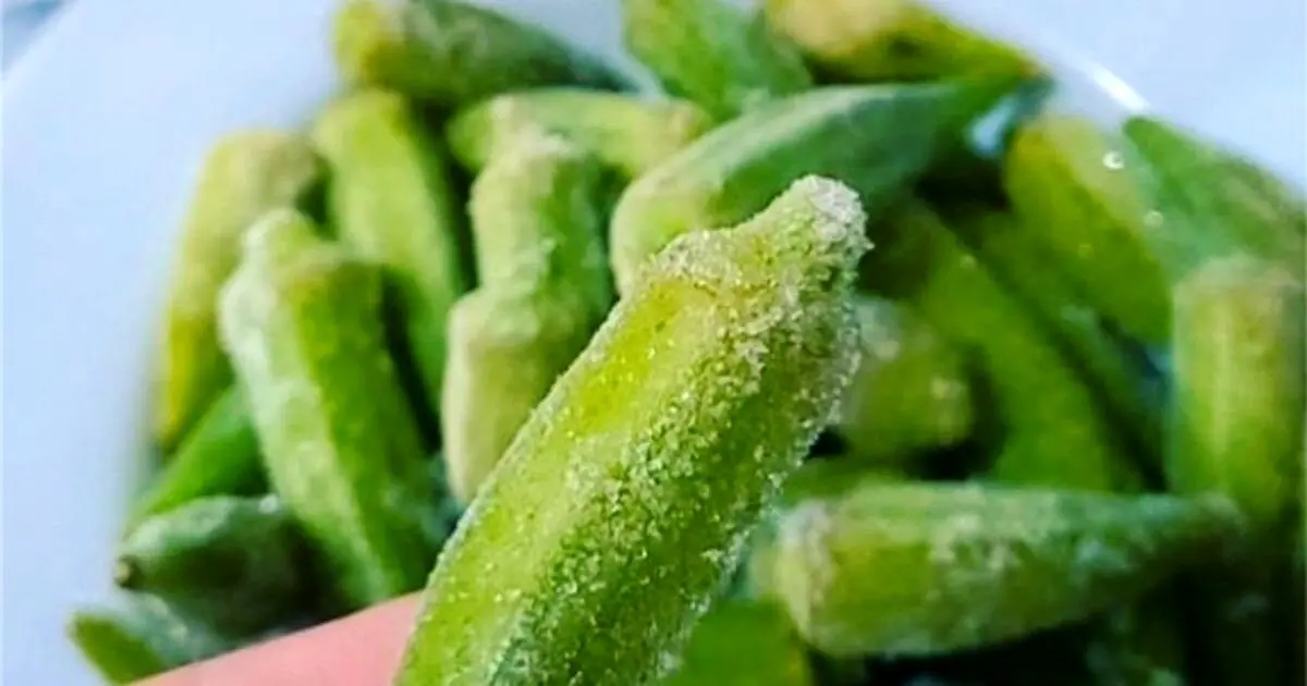آموزش کامل فریز کردن بامیه خورشتی