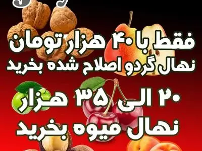asdasd