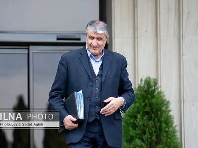 Nobody can dictate their will to Iran: Nuclear chief
