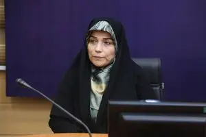 ارائه ویلچرهای باکیفیت وارداتی به معلولان با همراهی سپاه؛ توان تامین هزینه واردات تمام تجهیزات را نداریم
