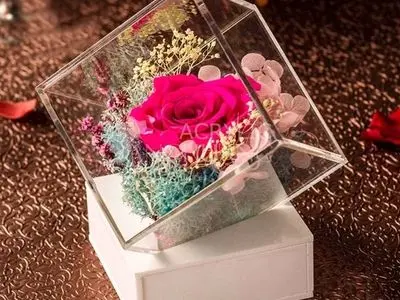 تشخیص پلکسی گلاس اصل وانواع برندها