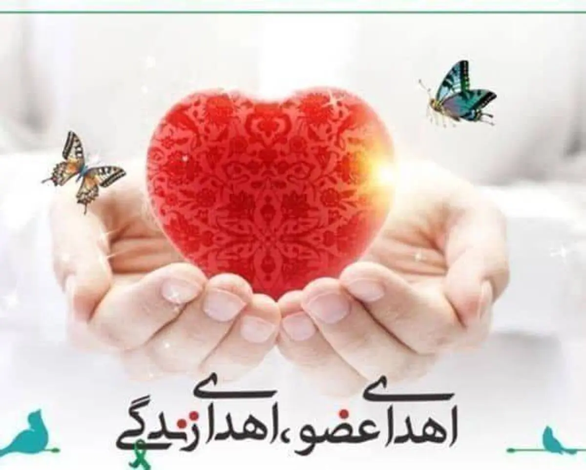 اعضای پسر ۲۳ ساله گوجانی اهدا شد