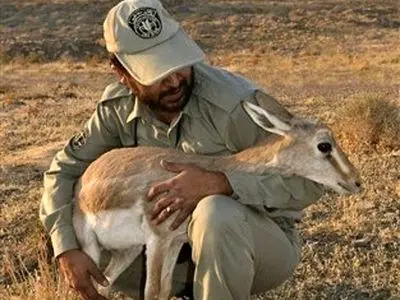 تصویب مجدد رشته «محیط‌بانی» در شورای عالی آموزش و پرورش پس از بازنگری سرفصل‌ها

