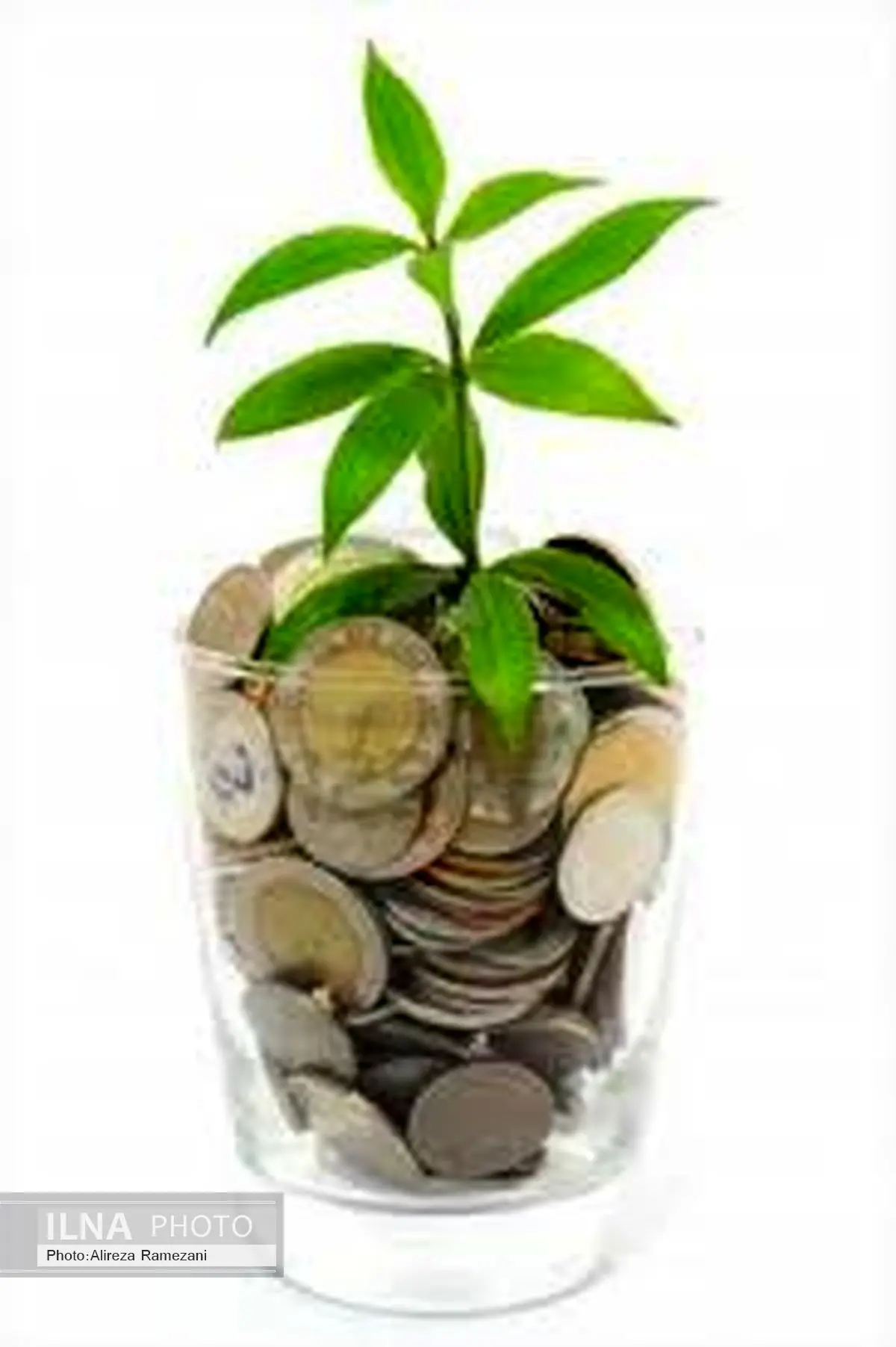 امکان ثبت نام دریافت تسهیلات کالایی در سامانه قرضالحسنه ازدواج