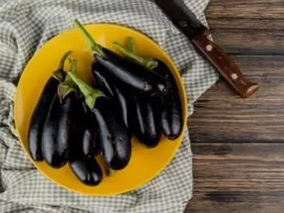 روش صحیح فریز بادمجان کبابی و سرخ شده 