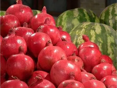 "یلدا"؛ نگرانی این روزهای کادر درمان / طوفان "کرونا" را با هم پشت سر بگذاریم