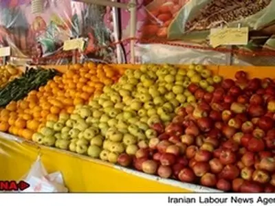 کنترل قیمت میوه شب عید مستلزم برنامه ریزی سازمان حمایت است