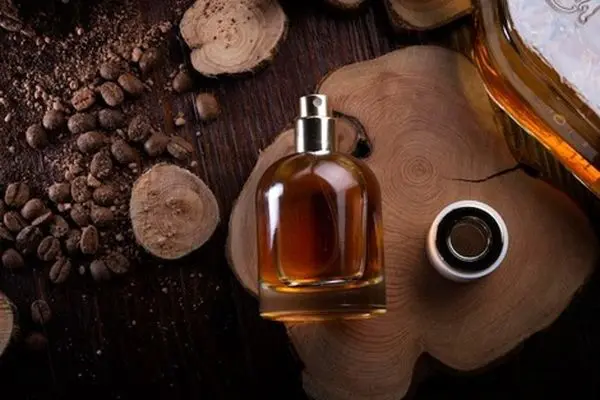 برای تولید عطرها با رایحه تلخ از چه اسانس‌هایی استفاده کنیم؟