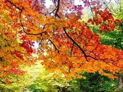 هوای گیلان امروز و فردا در بیشتر ساعات پایدار است