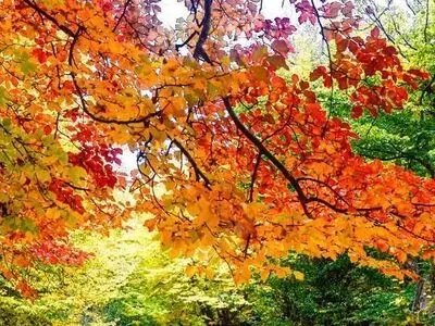 هوای گیلان امروز و فردا در بیشتر ساعات پایدار است