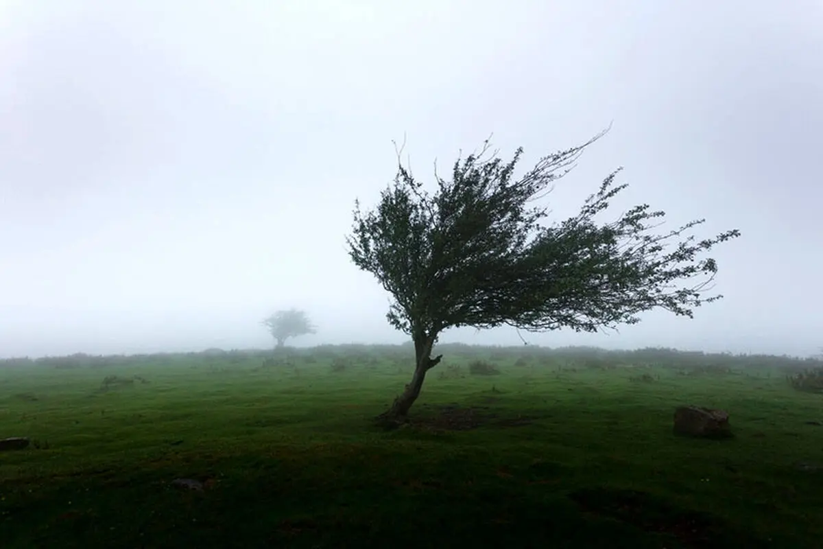 ادامه بارش‌ها و وزش باد شدید در شمال کشور