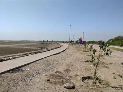 کاشت بیش از 56 هزار اصله نهال در سطح شهر بندرعباس
