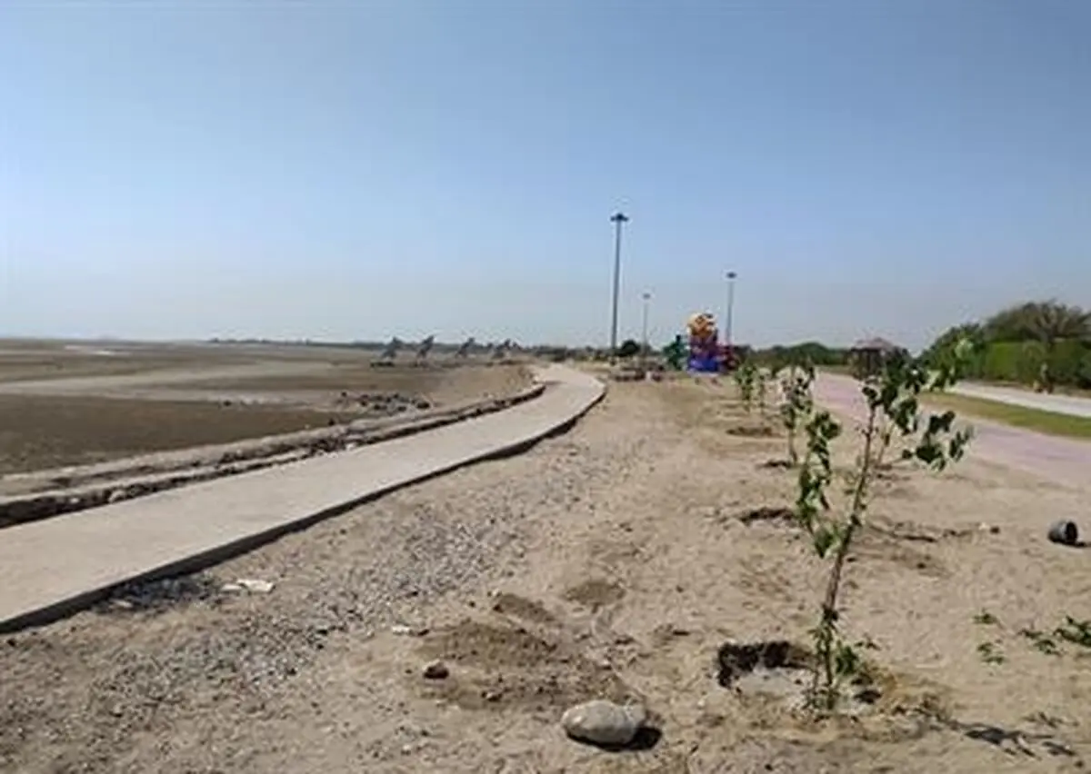 کاشت بیش از 56 هزار اصله نهال در سطح شهر بندرعباس