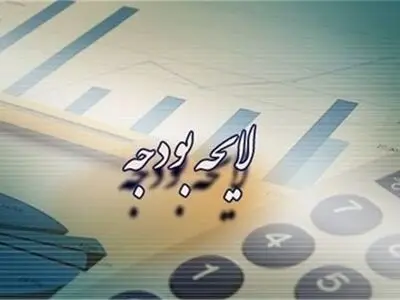 افزایش شفافیت بودجه با قوانین تقید مالی