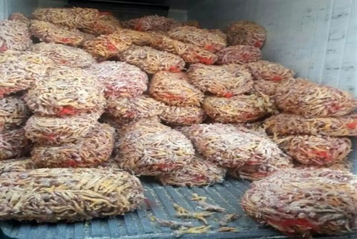 کشف و معدوم‌سازی هشت تن پای مرغ فاسد در مشهد