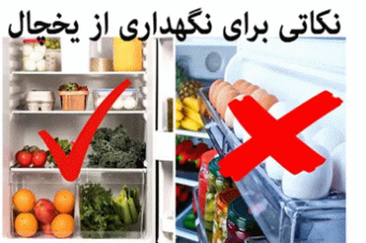 چگونه از یخچال خود نگه داری کنیم ؟