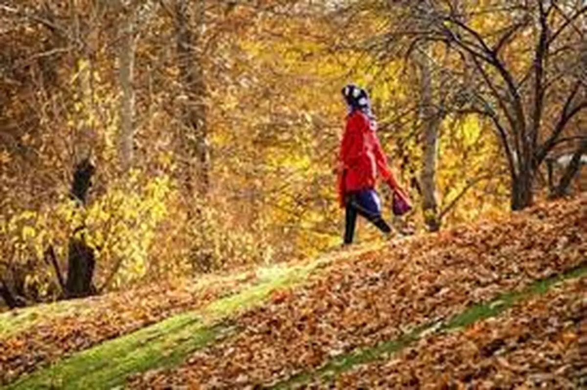 شیوع افسردگی در زنان بیشتر از  مردان/ استرس تشدیدکننده‌ افسردگی است 