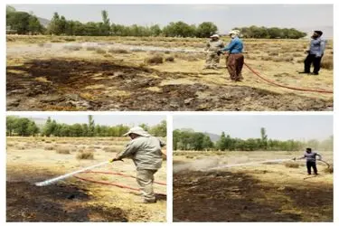 آتش‌ در تالاب بین المللی گندمان  شهرستان بروجن پیش از گسترش مهار شد