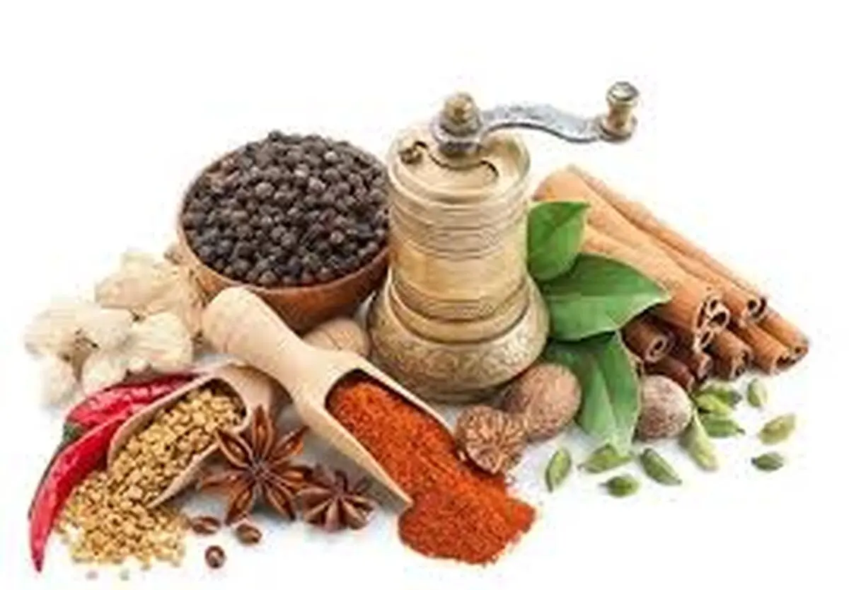 تغییر رویکرد مدیریتی نسبت به حوزه طب ایرانی ضروری است

