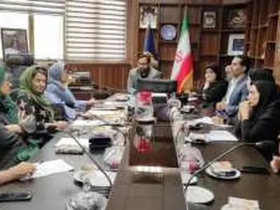 نشست فعالان نمایش عروسکی با دبیرخانه جشنواره نمایش عروسکی مصرف بهینه برق 