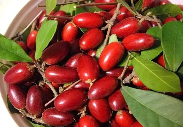 میوه‌های عجیبی که تاکنون ندیده‌اید + تصاویر