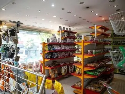 فروش غذای قاچاق و فیک در پت‌شاپ‌ها/ هنوز هیچ پانسیونی برای نگهداری حیوانات مجوز ندارد

