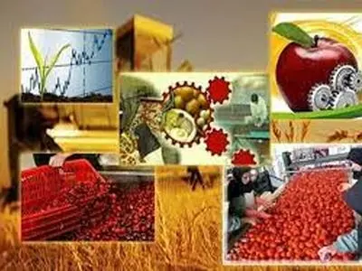 ذخیره‌سازی حداکثری اقلام اساسی برای تأمین غذای ۸۸ میلیون ایرانی