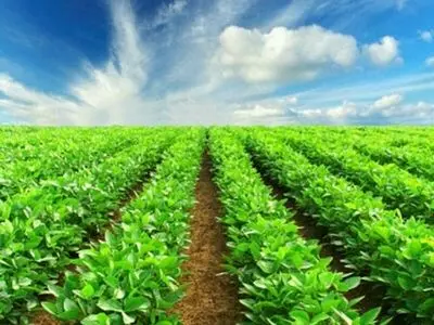 افتتاح ۳۷۳ طرح کشاورزی در آذربایجان غربی همزمان با هفته دولت