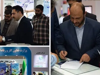 تنها ۵۰درصد تعاونی‌ها در تولید مشغول فعالیت هستند
