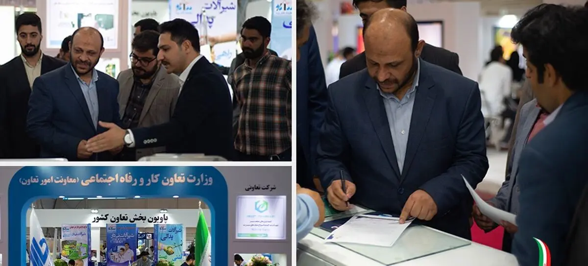 تنها ۵۰درصد تعاونی‌ها در تولید مشغول فعالیت هستند