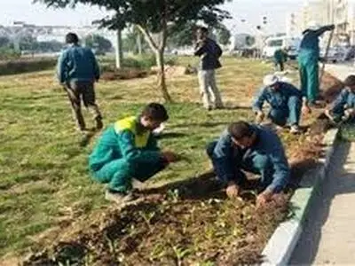 درخواست مدیرکل کار از شهردار زنجان/ دستور اصلاح فوری قرارداد فصلی کارگران شهرداری را صادر کنید 