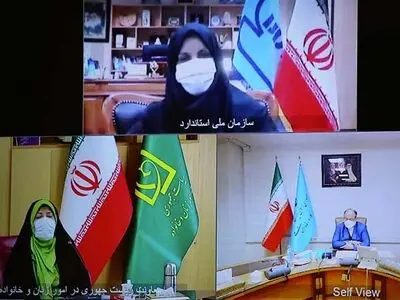 شیوه‌نامه استقرار مسیر استانداردسازی مشاغل خانگی تدوین شد/ وجود ۳ میلیون تولیدکننده محصولات مشاغل خانگی