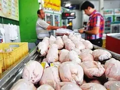 کمبودگوشت مرغ در تعطیلات نوروزی تامین شده است