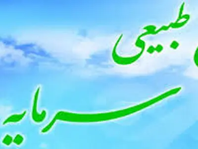 افزایش فضای سبز پایدار از اولویت های کاری در منطقه است
