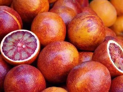 معرفی 4 رقم جدید زراعی و باغی توسط محققان سازمان «تات»