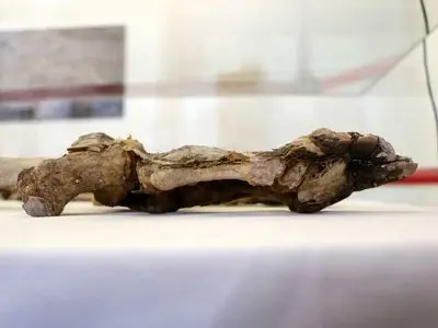 نمایش تابوت مرد ۲۲۰۰ ساله پس از ۲۰ سال در لرستان