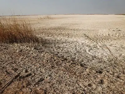 خشک‌سالی‌ها تالاب الله آباد قزوین  را به کانون گرد و غبار برای استان‌های همجوار تبدیل کرد/ در تامین حق‌آبه موفق نبوده‌ایم