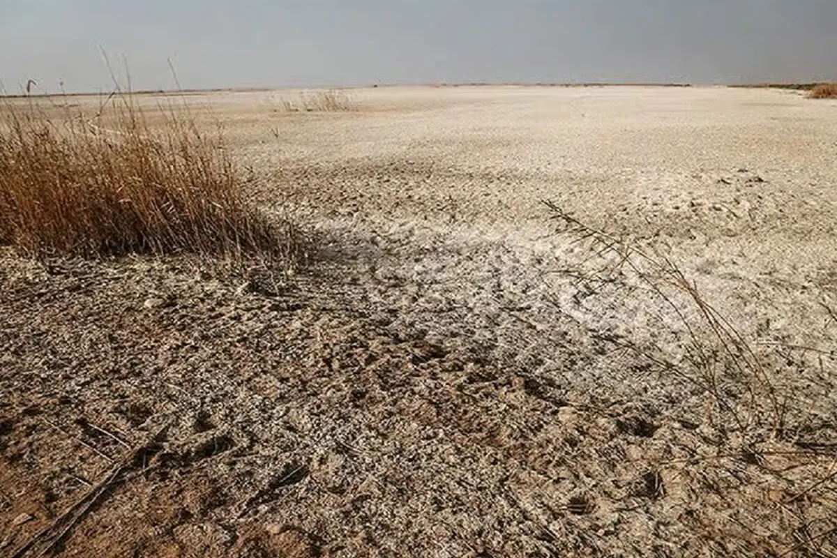 خشک‌سالی‌ها تالاب الله آباد قزوین  را به کانون گرد و غبار برای استان‌های همجوار تبدیل کرد/ در تامین حق‌آبه موفق نبوده‌ایم