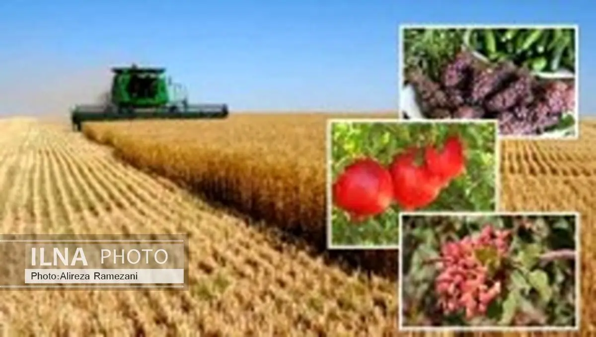 واردات برخی کالاهای اساسی چالشی برای بخش کشاورزی