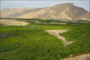 بازپس‌گیری ۶۵۰۰ هکتار از اراضی شمیرانات توسط منابع طبیعی