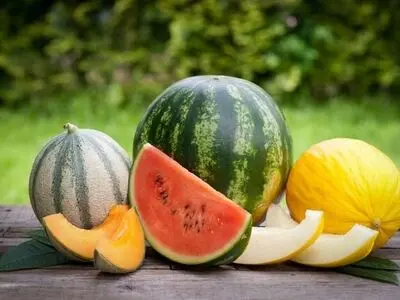 هندوانه یا طالبی؛ کدام‌ برای قند خون بهتر است؟