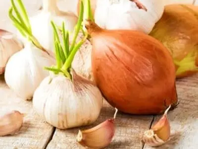 نکته مهم درباره مصرف سیر و پیاز جوانه زده
