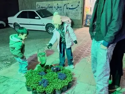 مردم آذربایجان شرقی از خرید ماهی قرمز از دست‌فروشان و مراکز غیرمجاز خودداری کنند