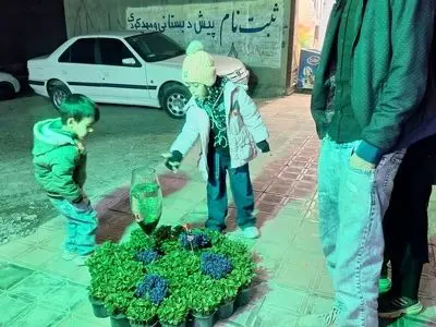 مردم آذربایجان شرقی از خرید ماهی قرمز از دست‌فروشان و مراکز غیرمجاز خودداری کنند