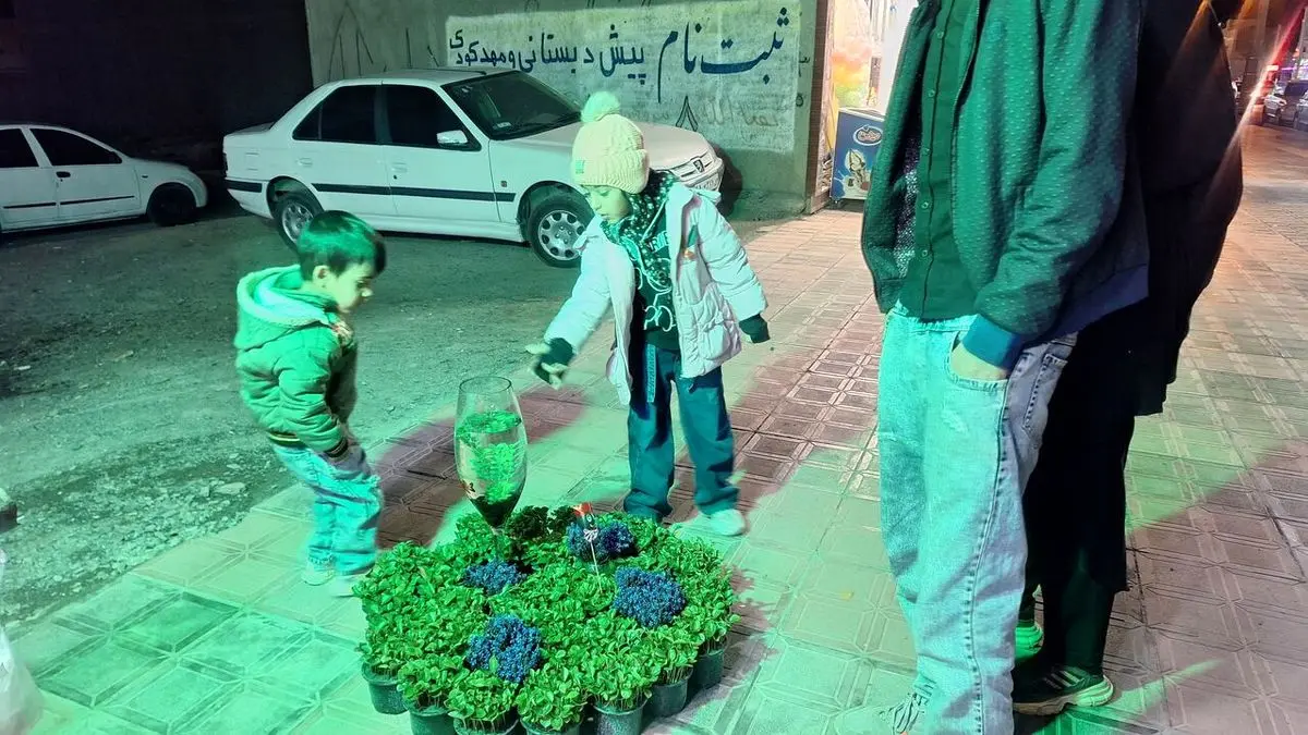 مردم آذربایجان شرقی از خرید ماهی قرمز از دست‌فروشان و مراکز غیرمجاز خودداری کنند