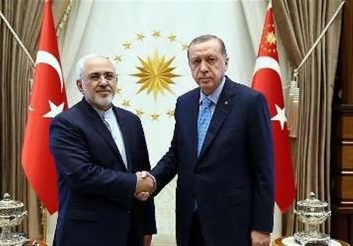 محمدجواد ظریف با رئیس‌جمهور ترکیه دیدار کرد