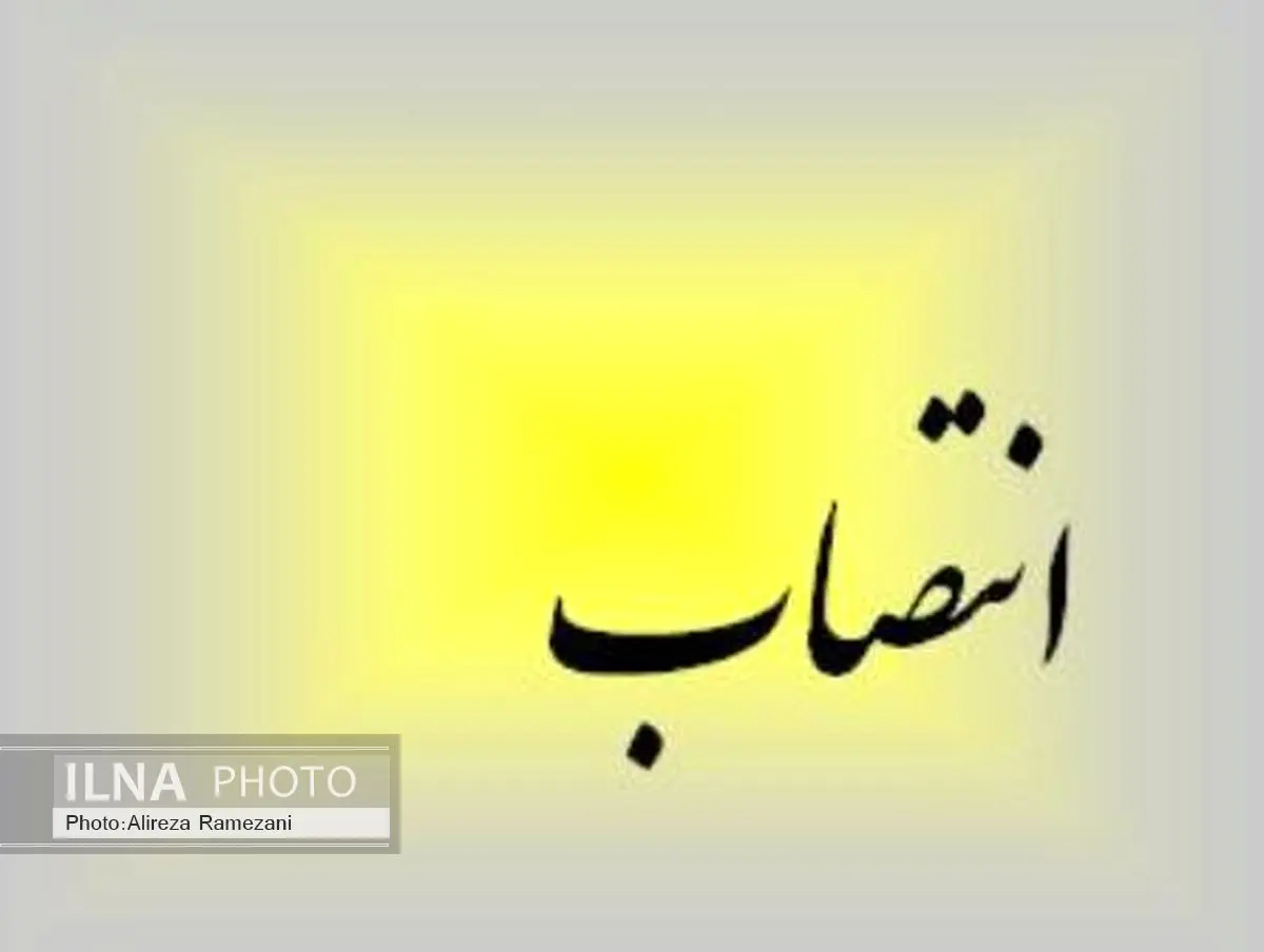 رییس مرکز ملی فرش ایران منصوب شد