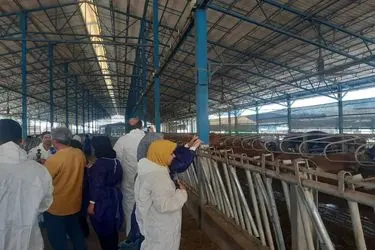 اینجا بزرگ‌ترین مرکز «تولید جنین گاو» در غرب آسیاست