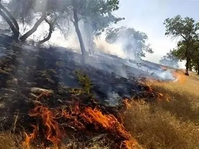 مهار آتش‌ در جنگل‌های شهرستان فیروزآباد/ ۳ نفر جان خود را از دست دادند